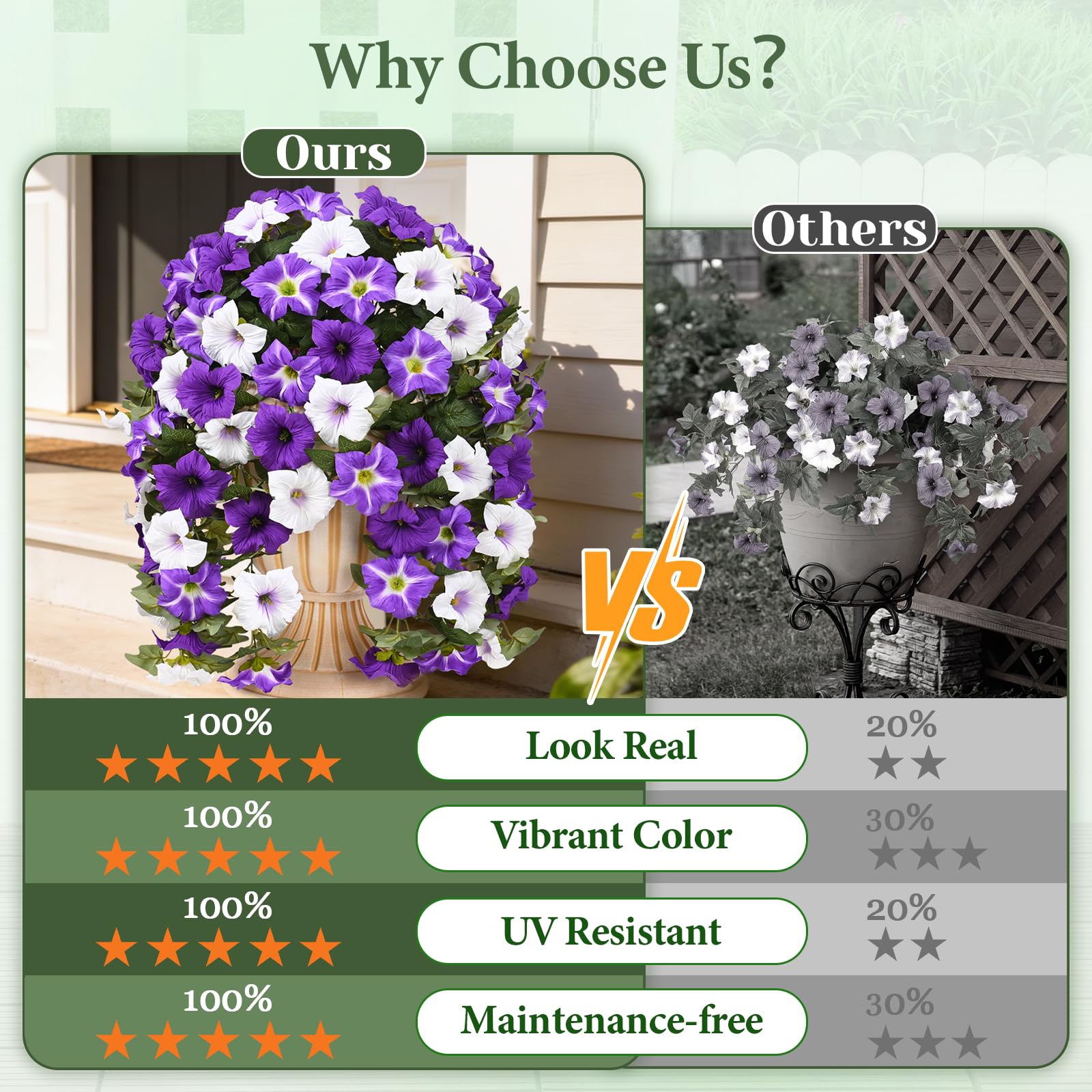 Yastouay petunias hanging flowers closeup highlight UV-resistant petals for outdoor decor.