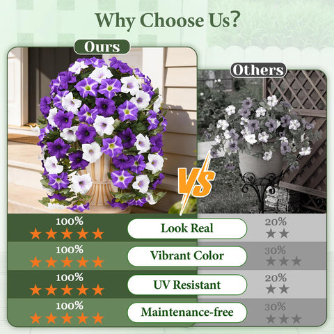 Yastouay petunias hanging flowers closeup highlight UV-resistant petals for outdoor decor.