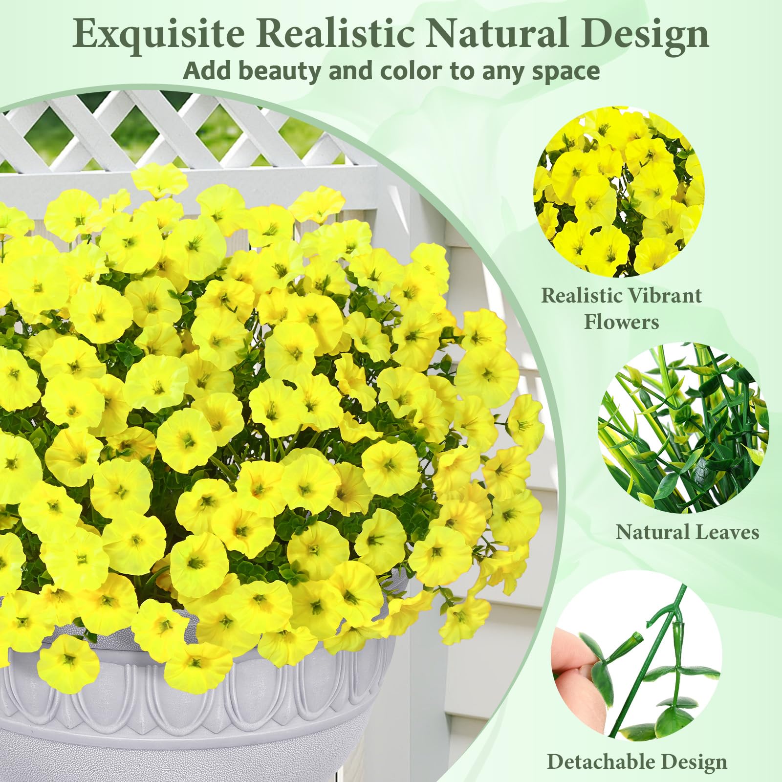 Yastouay yellow morning glory outdoor bloom close-up for porch decor