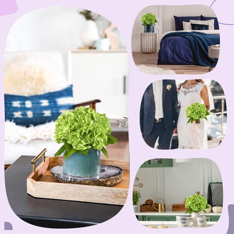 Yatim allergen-friendly hydrangea decor suitable for pollen-sensitive spaces