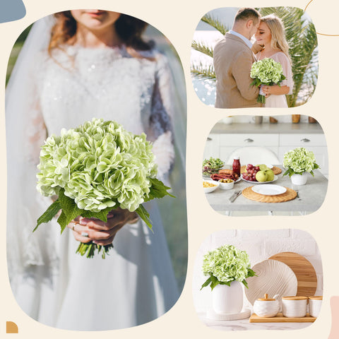 Yatim allergen-friendly hydrangea for pollen-sensitive spaces