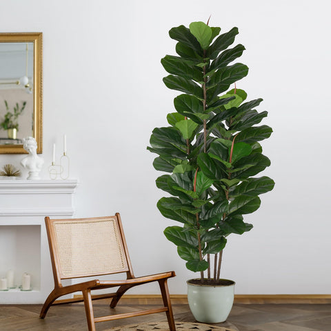Yepdin 69-leaf fiddle leaf fig tree delivers lush green presence.