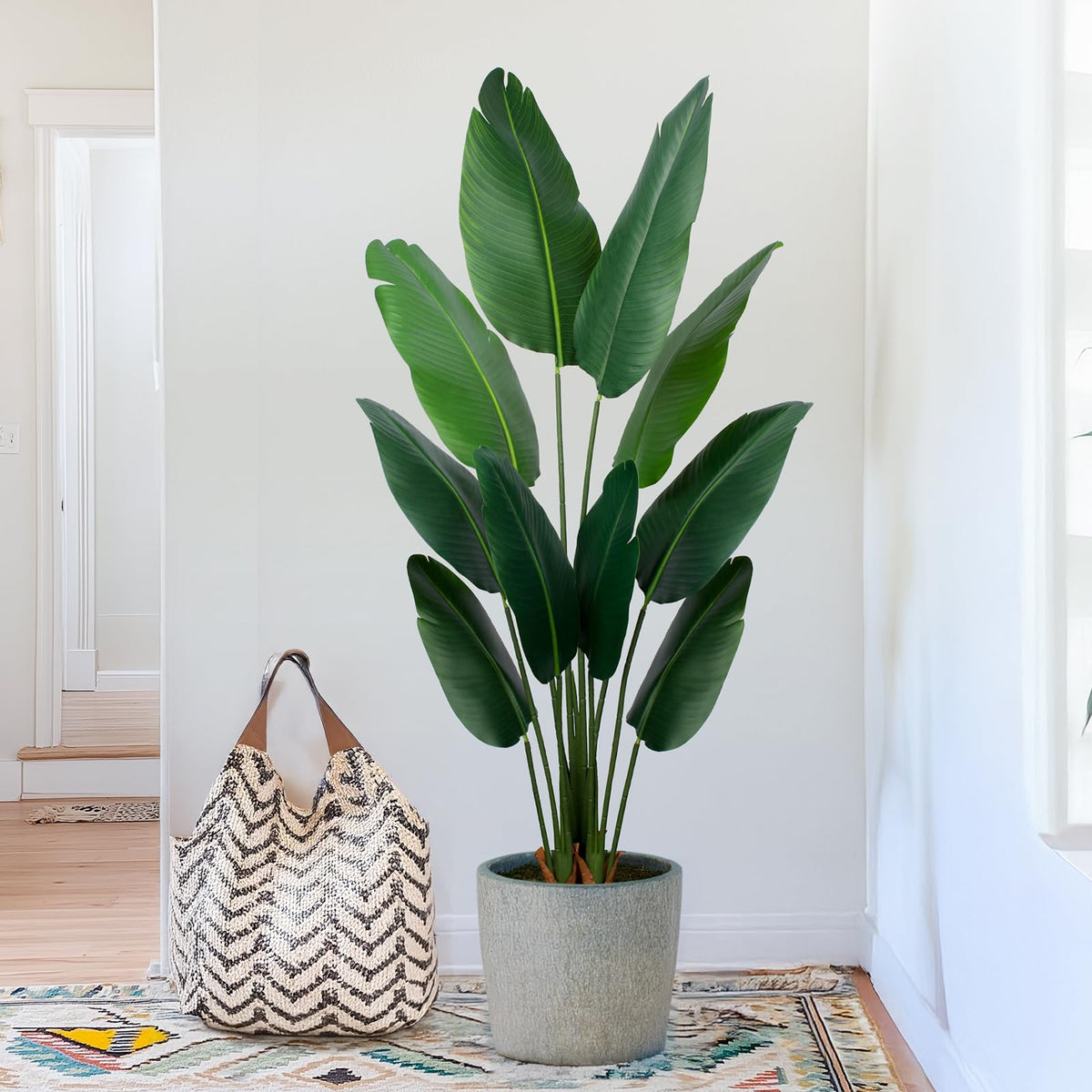 Yepdin Bird of Paradise 5ft plant, full shot, evergreen greenery for any room.