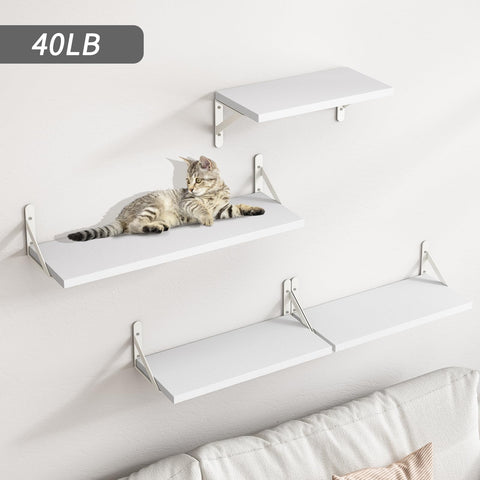 YGEOMER kitchen shelves organize spices with a tidy, space-saving design