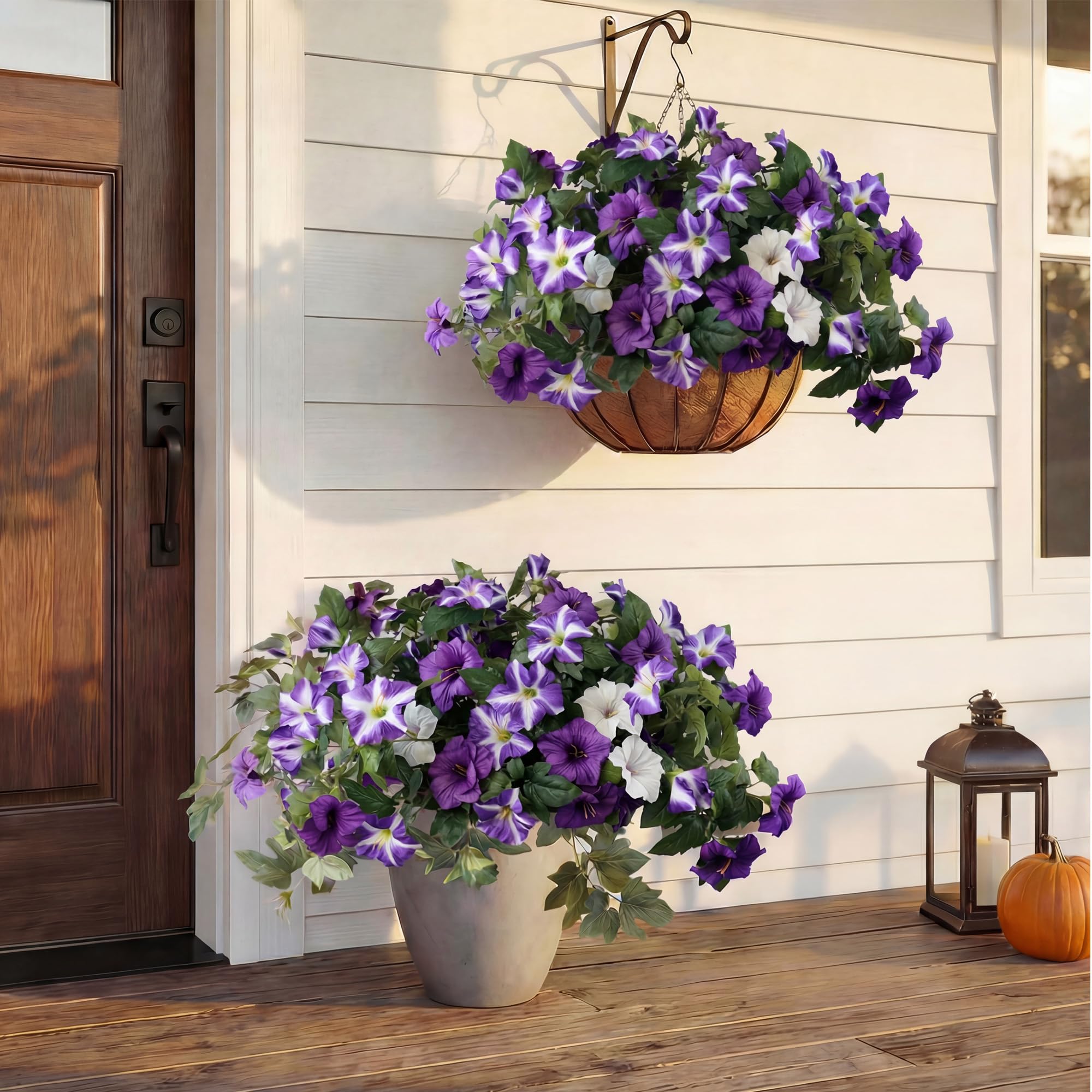 YIBUKIY tri-color petunia blooms close-up for realistic garden texture.