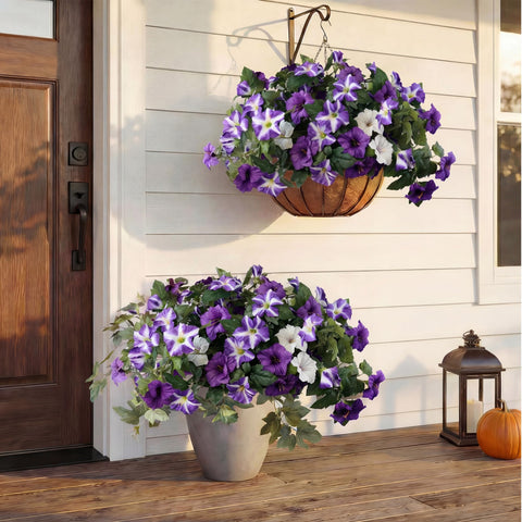 YIBUKIY tri-color petunia blooms close-up for realistic garden texture.