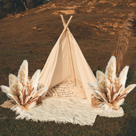 YOJOYI versatile pampas grass decor blends with beige living spaces.