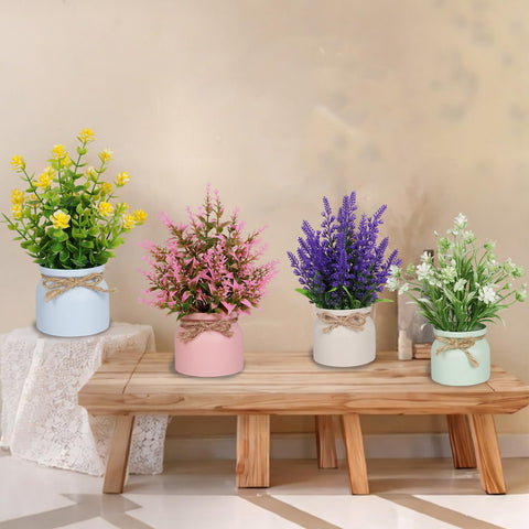 Yoratee small potted plants; compact size ideal for tabletops and shelves.