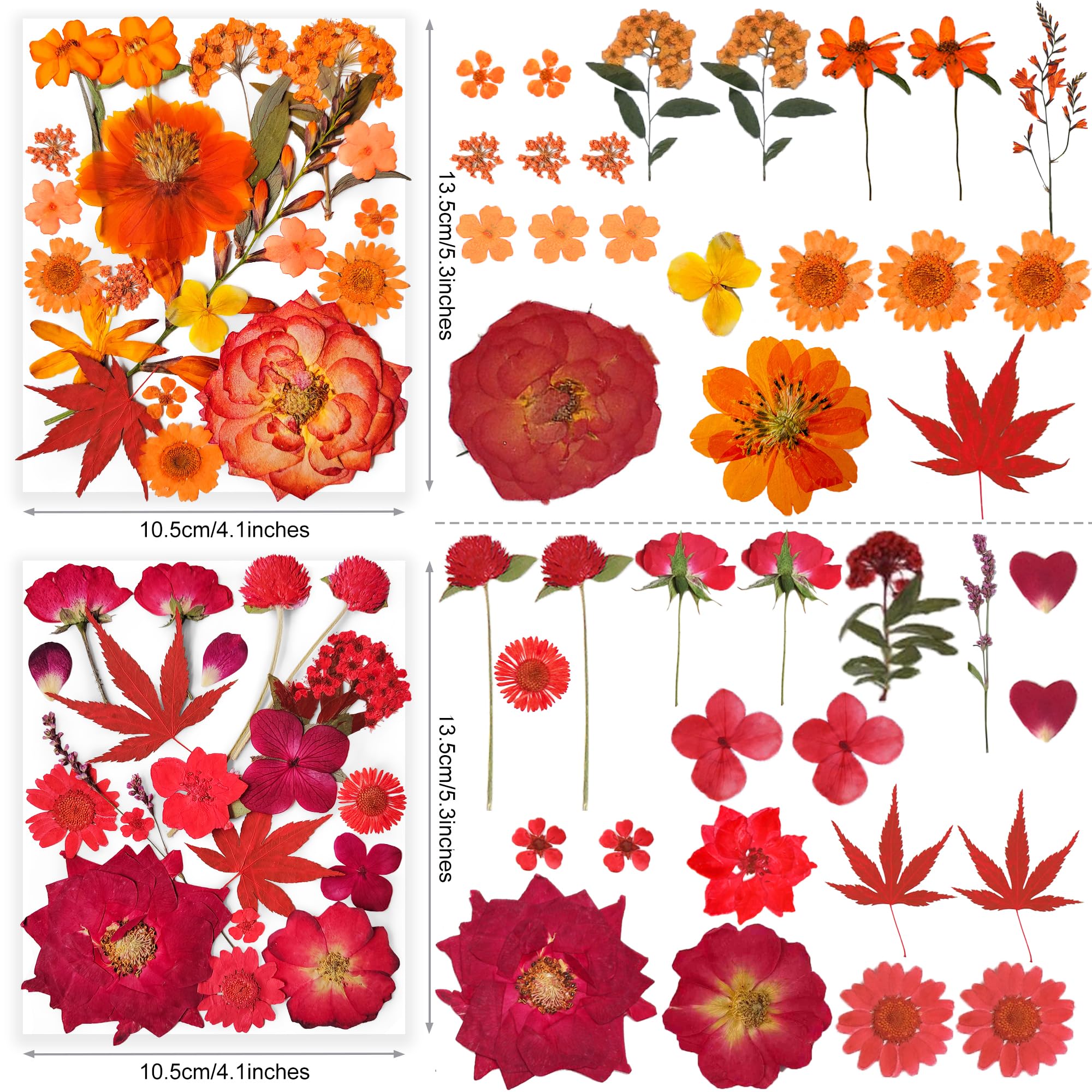 YouthBro bookmark decor with natural petals