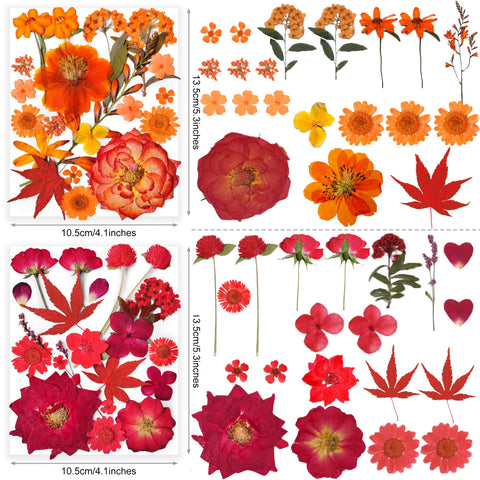 YouthBro bookmark decor with natural petals
