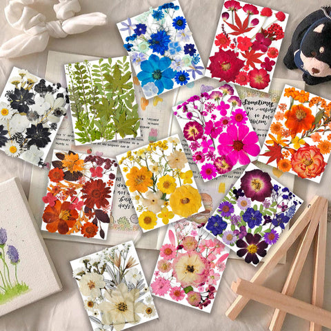 YouthBro butterfly stickers pack for DIY projects