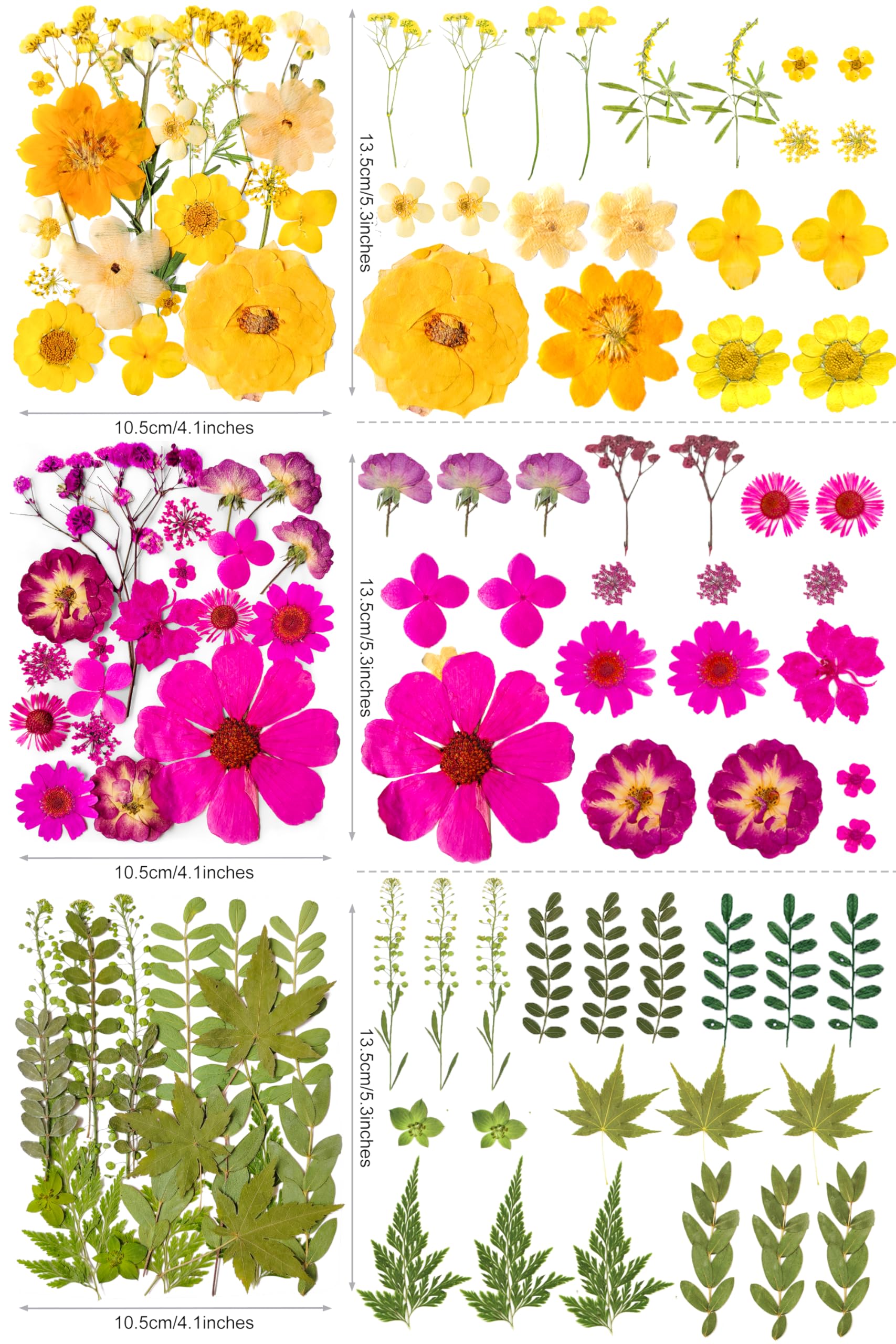 YouthBro color sheets collection with vibrant petals