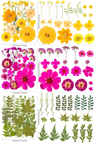 YouthBro color sheets collection with vibrant petals