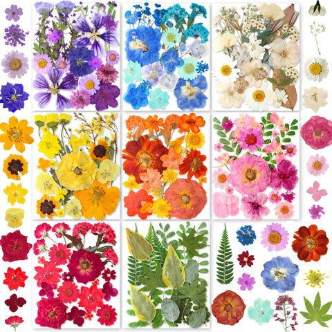 YouthBro dried pressed flowers for vibrant resin crafts