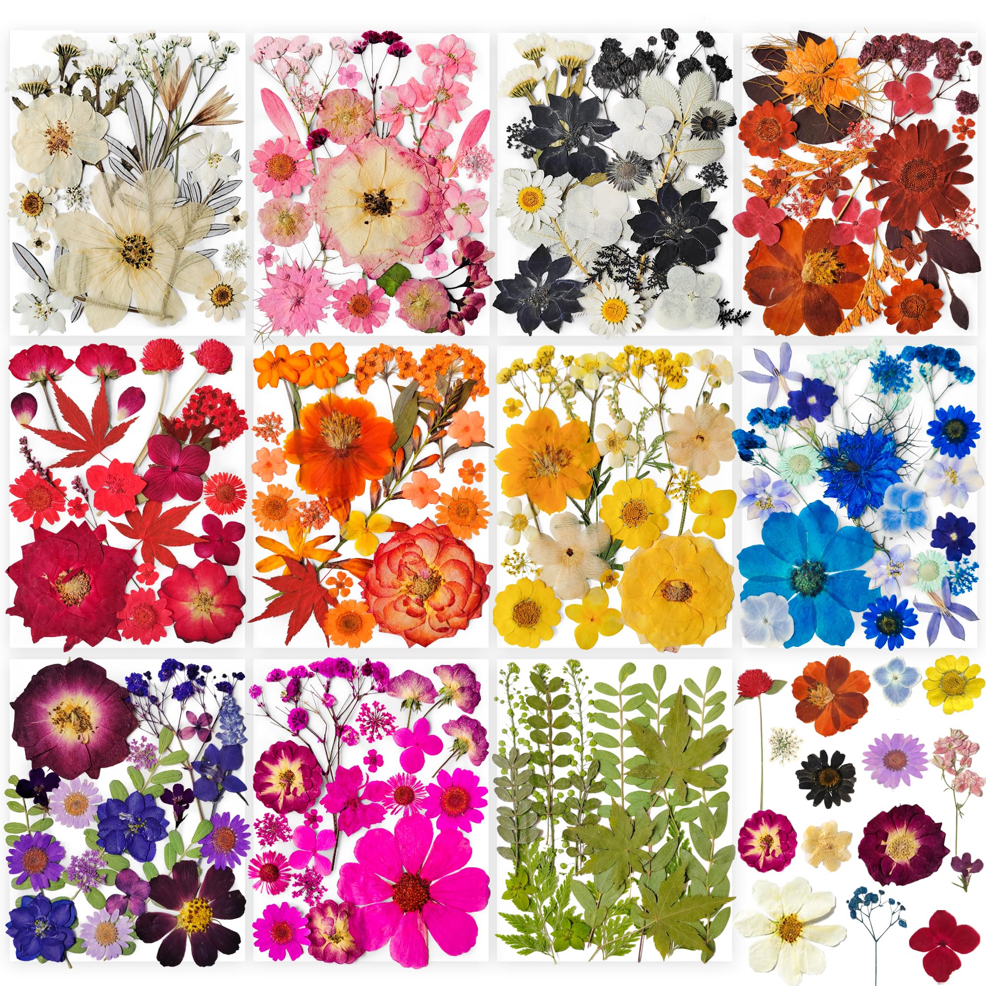 YouthBro pressed flowers collection for resin art and crafts