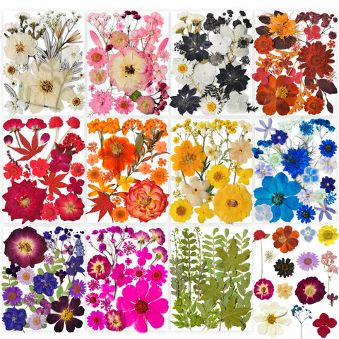 YouthBro pressed flowers collection for resin art and crafts