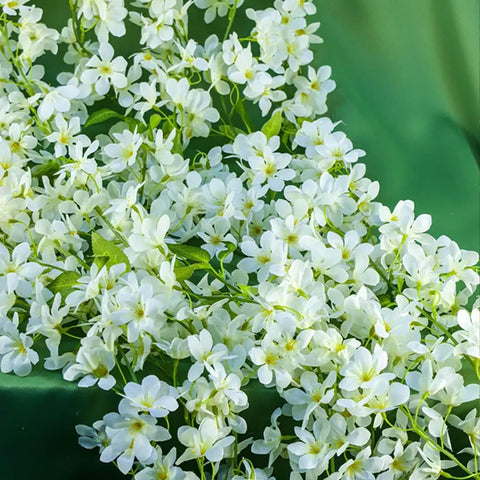 YRIOWMI multi-pack option helps create fuller, lush displays with minimal effort.