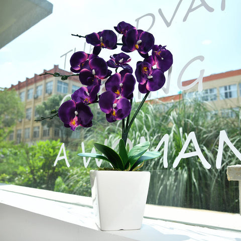 YSZL ceramic pot provides stable, stylish planting option.