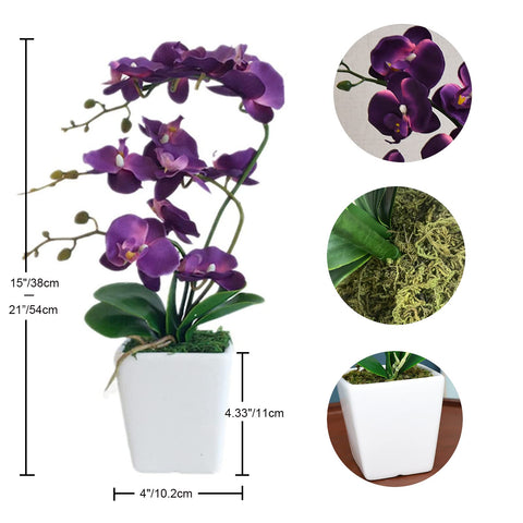 YSZL gift-ready orchid arrangement for special occasions.