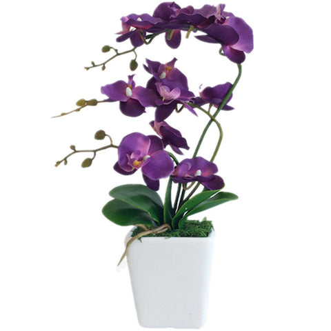 YSZL Phalaenopsis 15in dark purple bloom for elegant home decor.