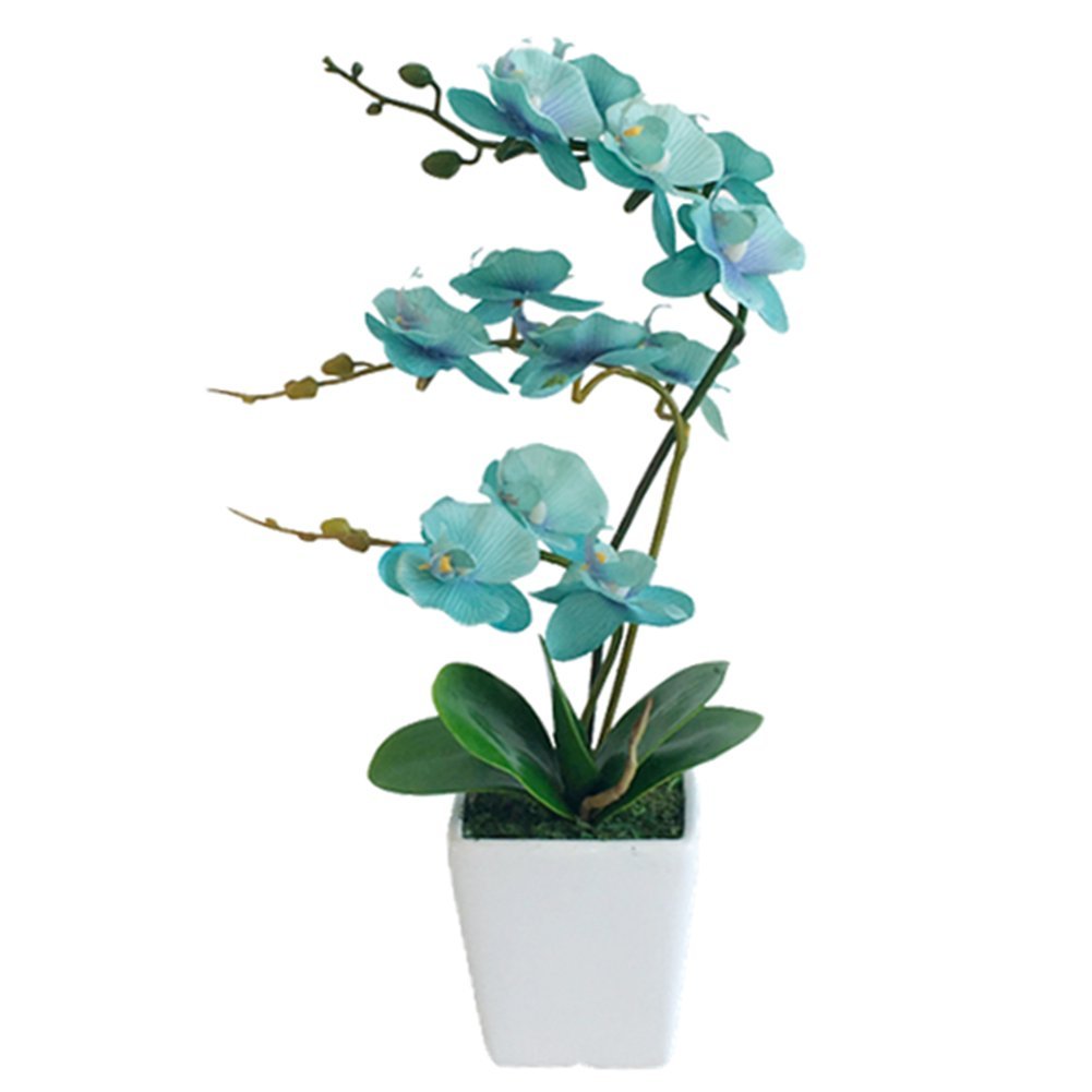 YSZL phalaenopsis teal bloom closeup highlights lifelike petals for elegant year round decor