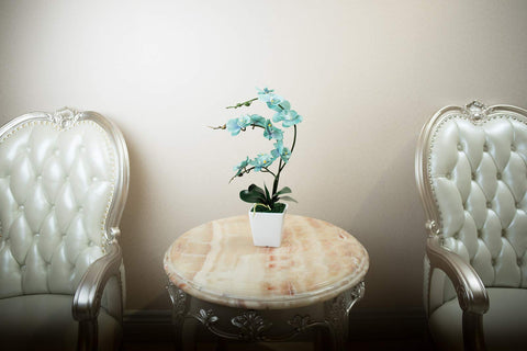 YSZL phalaenopsis teal stem trio display offers balanced visual impact