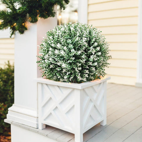 YUGYUM maintenance-free topiary for easy home decor