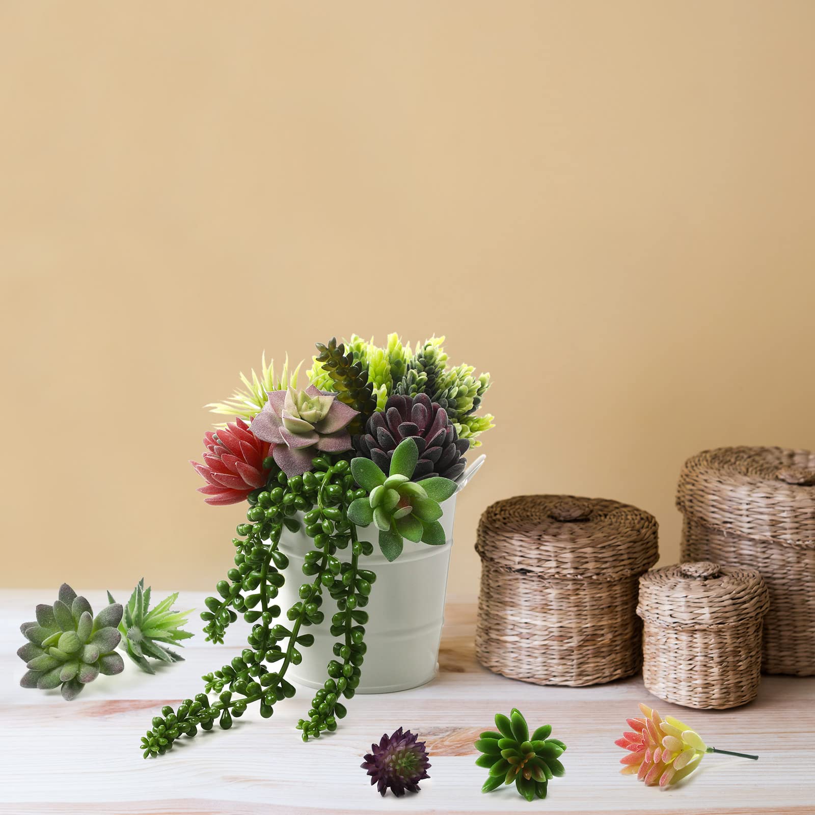 Yunsailing compact succulents ideal for DIY projects and small spaces