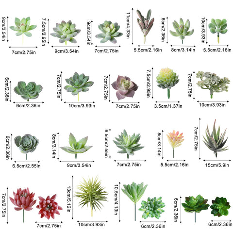 Yunsailing mini succulents in varied styles for DIY arrangements