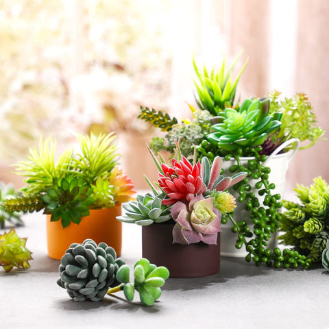 Yunsailing odorless faux succulents ideal for indoor decor and easy upkeep