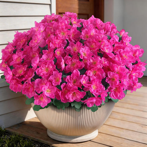 YXZZWL azalea petal close-up reveals rich color and silky texture.