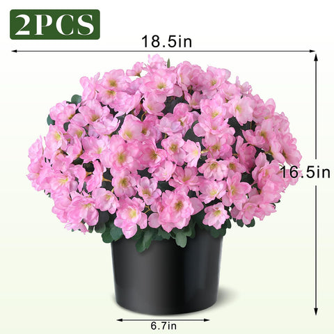 YXZZWL azalea topiary 16-5 inch height visual shows scale.
