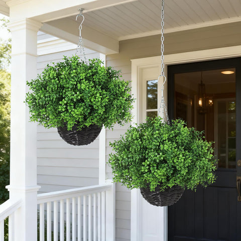 YXZZWL small-leaf boxwood close-up shows dense texture and lifelike detail.