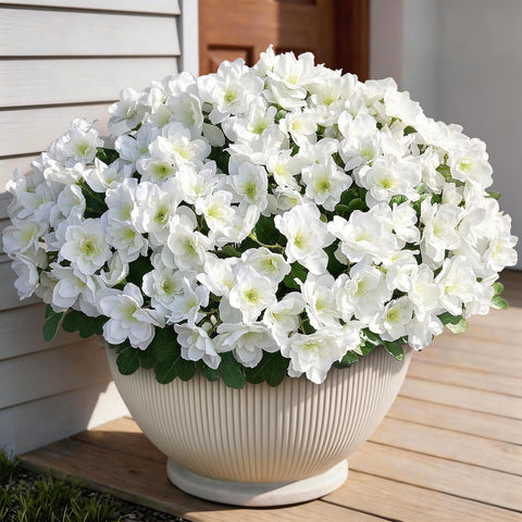 YXZZWL white silk azalea close-up shows realistic petals and outdoor durability