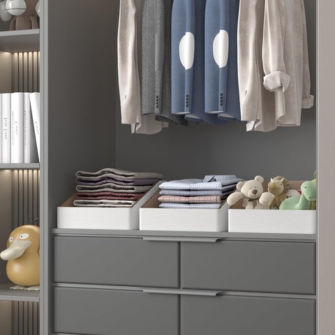 ZBEIVAN 12x8x4.5 inch bins keep items accessible and visible.