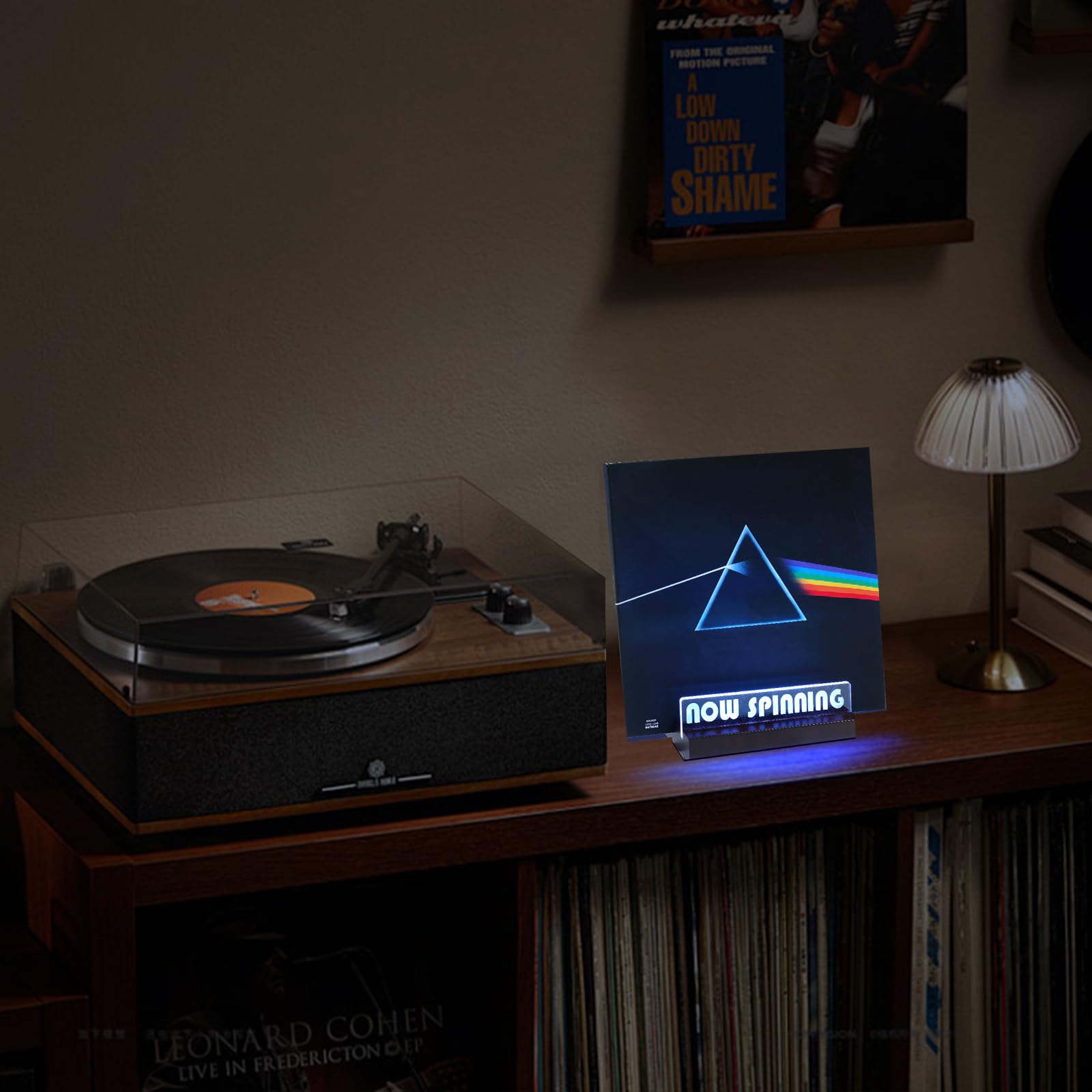 ZEDKEHO vinyl gift idea blending aesthetics and function.
