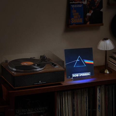 ZEDKEHO vinyl gift idea blending aesthetics and function.
