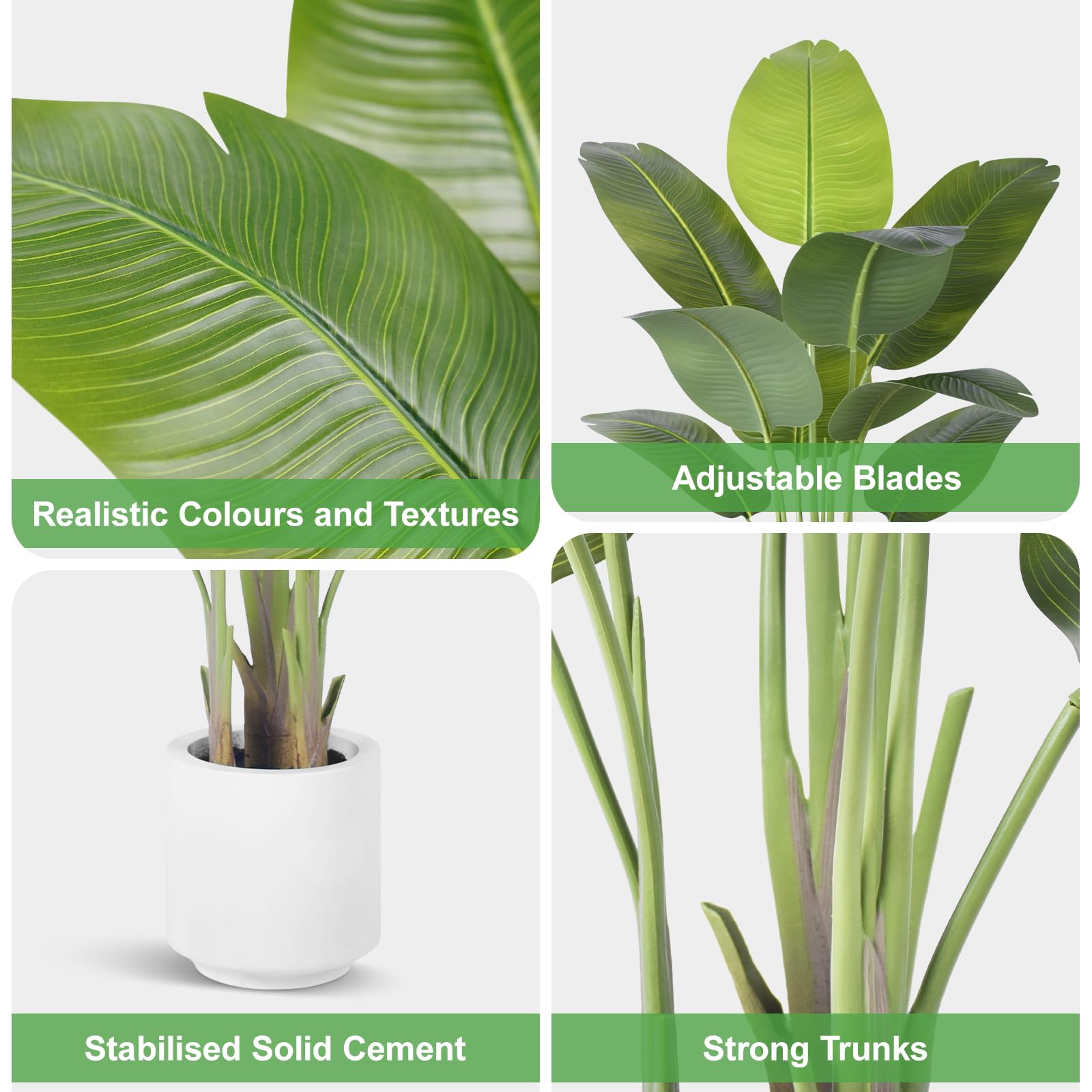 Large floor plant ideal for living rooms or offices