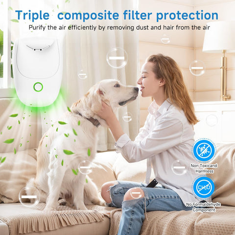 ZENNITHON maintenance-free purifier with no filter replacements