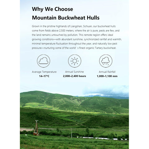 ZENURAH mountain-grown hulls purity implies quality fill