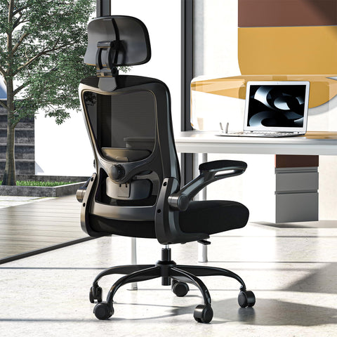 Zeonsit Office Chair mesh back for cooling comfort during long work sessions.