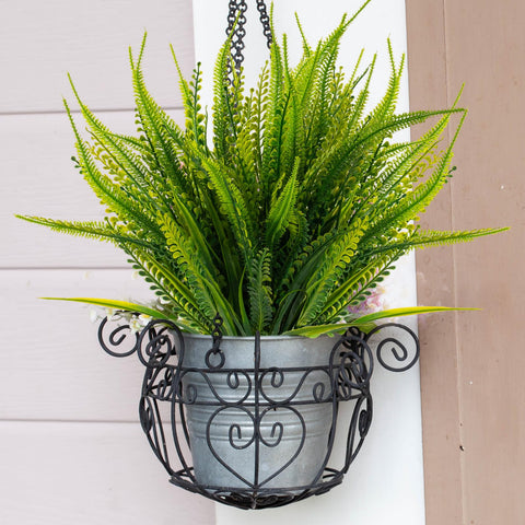 ZEOSTARO Boston fern with Flowers brings a fresh natural feel to any decor