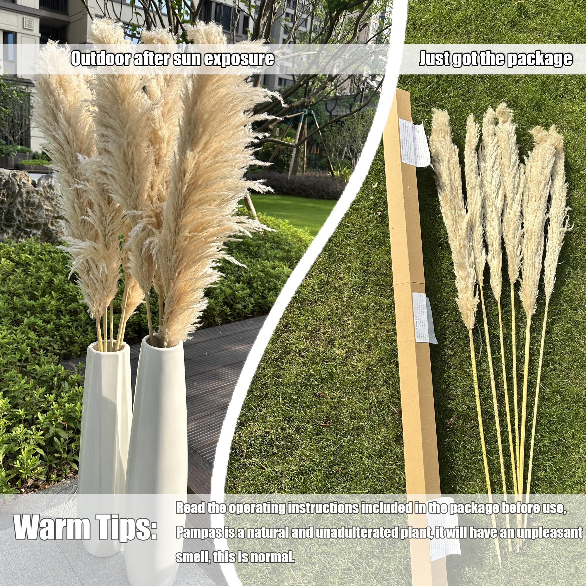 Zephynar pampas grass table ornament for elegant place settings