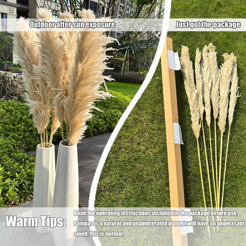 Zephynar pampas grass table ornament for elegant place settings