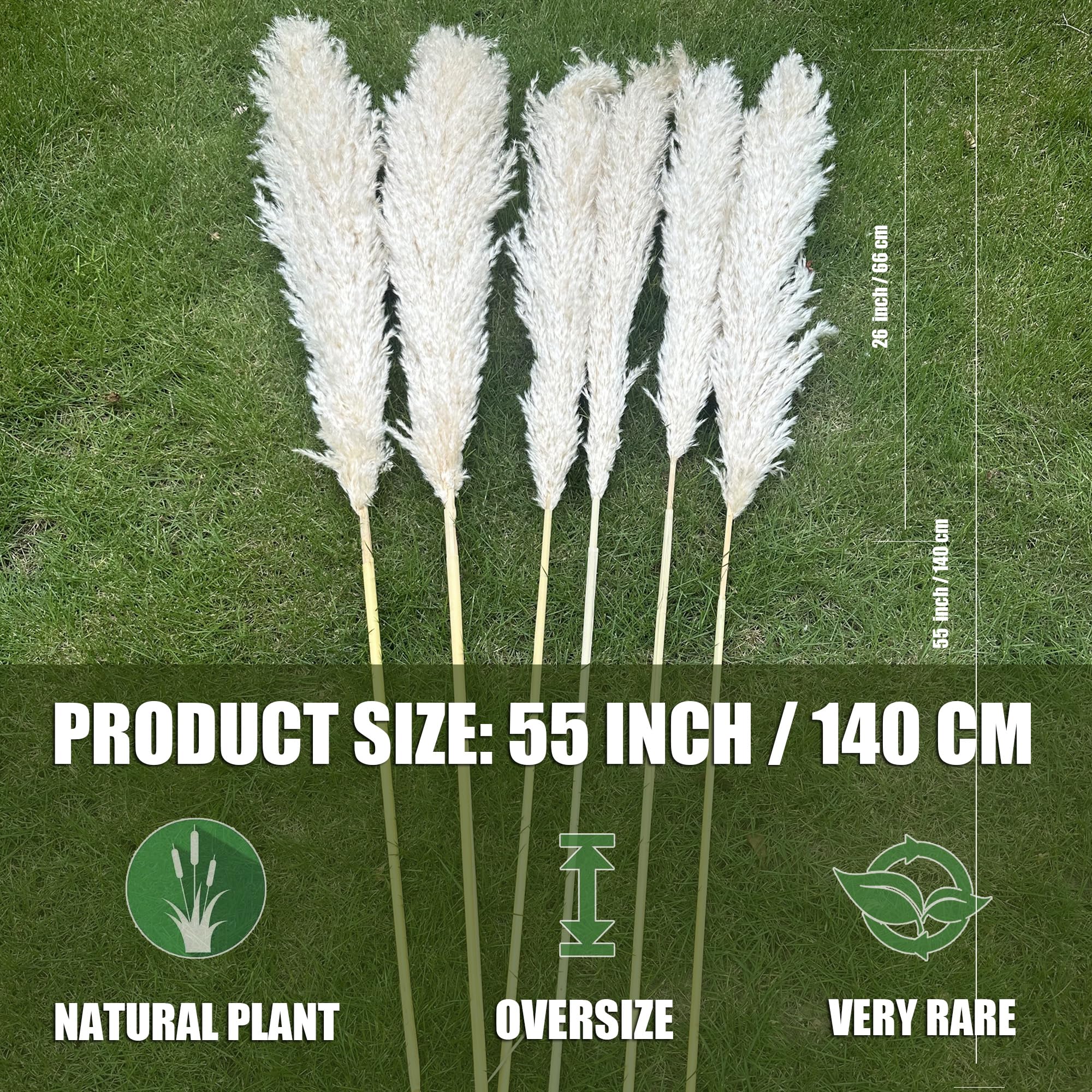 Zephynar tall pampas grass decor in Boho style for weddings