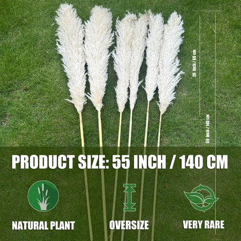 Zephynar tall pampas grass decor in Boho style for weddings