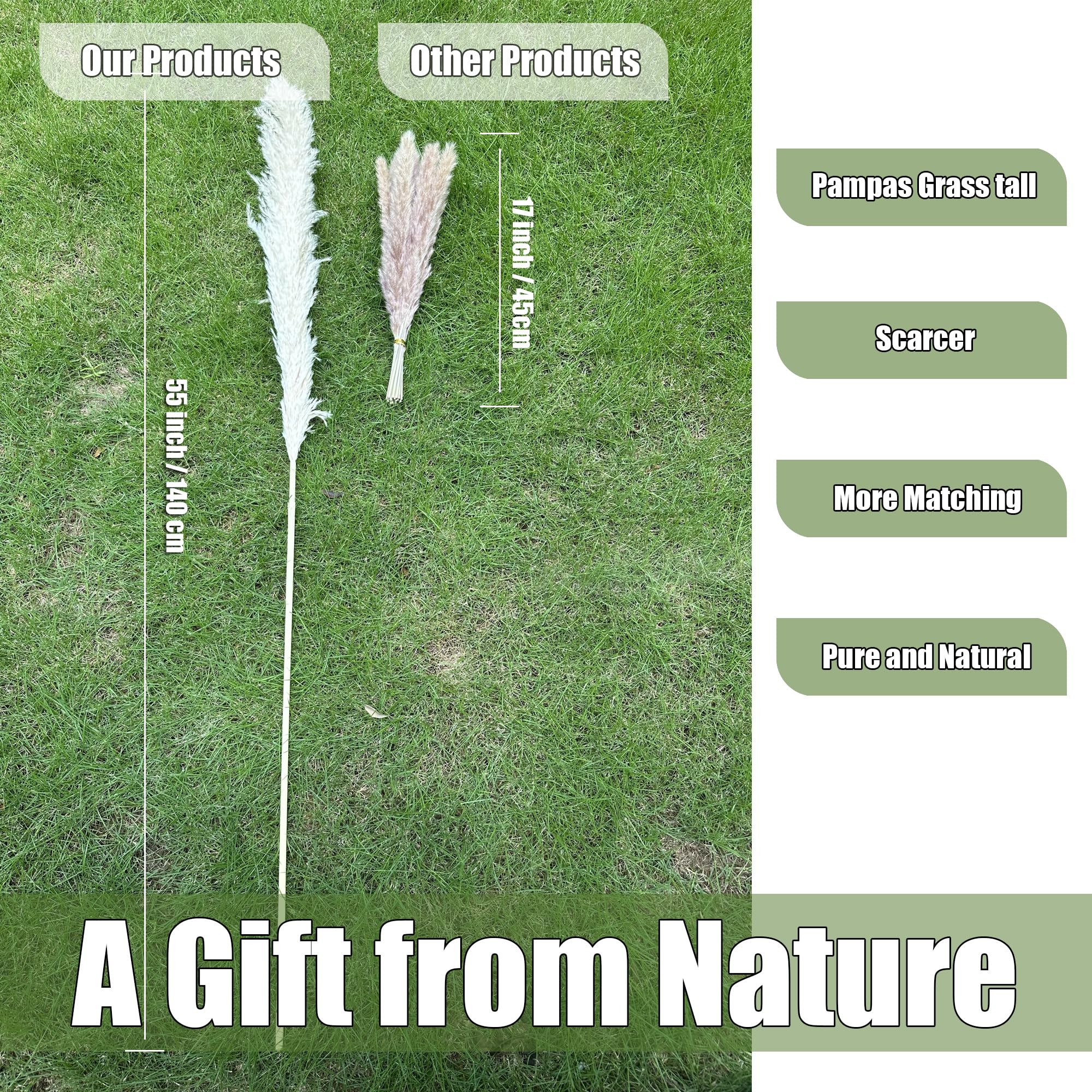Zephynar pampas grass decor enhances wedding ambiance with natural texture