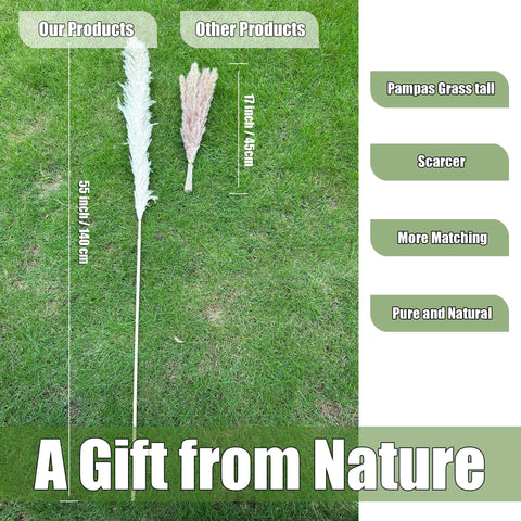 Zephynar pampas grass decor enhances wedding ambiance with natural texture