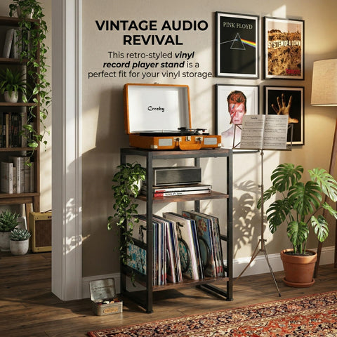 ZEXVIDA three-tier vinyl storage organized for easy access