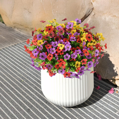 No-maintenance design of ZFProcess blooms ideal for balconies and porches.